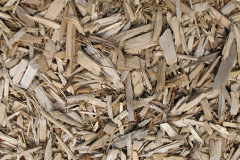 biomass boilers Beck Foot